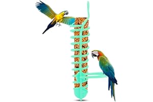 Liyquint Parrots Feeder Basket, Toys Millet Holder, Spray Holder, Parakeet Feeding Rack, Birdcage Rack for Birds (Green, 1pcs