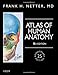 Atlas of Human Anatomy, Professional Edition: including NetterReference.com Access with Full Downloadable Image Bank, 6e (Netter Basic Science)