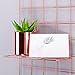 Simmer Stone Rose Gold Wall Grid Panel for Photo Hanging Display & Wall Decoration Organizer, Multi-functional Wall Storage Display Grid, 5 Clips & 4 Nails Offered, Set of 1, Size 23.6