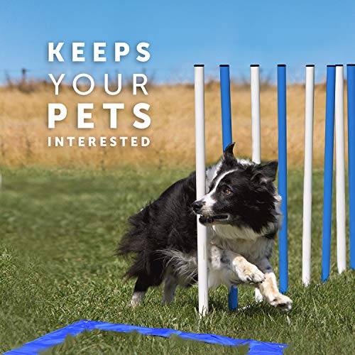 Better Sporting Dogs Complete Starter Agility Set for Dogs | 5 Piece Dog Agility Kit | Dog Tunnel | Agility Jump | Tire Jump | Weave Poles | Pause Box - Thumbnail 7