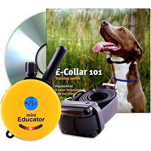Educator ET-300-TV Bundle: Mini 1/2 Mile E-Collar Remote Dog Training Collar Plus 101 Off-Leash 4 Sessions Dog Training DVD, Yellow