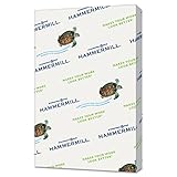 Hammermill Salmon Colored 20lb Copy Paper, 11x17, Ledger Size,1 Ream, 500 Total Sheets, Made in USA, Sustainably Sourced From American Family Tree Farms, Acid Free, Pastel Printer Paper, 102103R