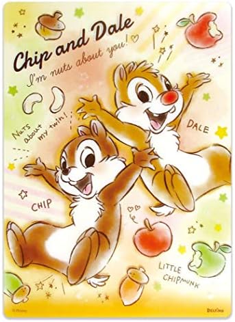 チップ デール 下敷き ディズニー ティーズファクトリー キャラクター グッズ 通販 ステーショナリー 人気ショップが最安値挑戦
