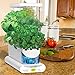 AeroGarden Sprout LED - White