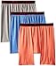 Champion Men's 3-Pack Active Performance Long Leg Boxer Briefs, Poinciana/Athens Blue/Gargoyle Heathers, Large