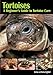 Tortoises by Andrew Highfield, Nadine Highfield
