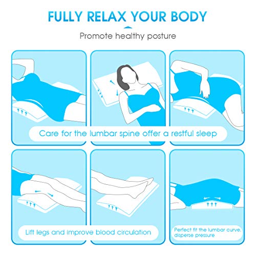 HOKEKI Lumbar Support Back Pillow for Sleeping, Memory Foam Back Pain