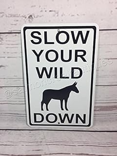 Amazoncom Metal Sign Liverpool A4 Predrilled Youll Never