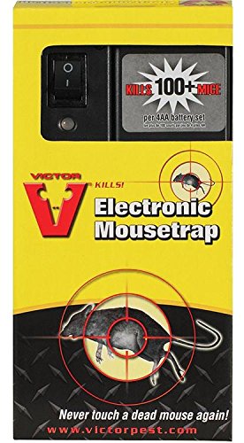 Electronic mouse trap
