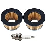 Butom Pack of 2 30727 488619 30604 Air Filter for Tecumseh AM30900 TVS105 TVS120 H25 H30 H35 H40 H50 H60 H70 HH60 HH70 HS50