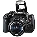 Canon EOS Rebel T6i 24.2MP Digital SLR Camera Bundle with Canon EF-S 18-55mm f/3.5-5.6 IS STM [Image Stabilizer] Zoom Lens & EF 75-300mm f/4-5.6 III Telephoto Zoom Lens and Accessories (18 Items)