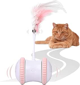fully automatic cat fun toy