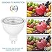 MR16 LED Light Bulbs G5.3 Base 5W Light Bulbs 6000K Spotlight, Non-Dimmable,110V, 5W LED Replacement for 50W Halogen Bulbs for Track Recessed Down Lighting, Pack of 6