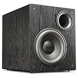 SVS PB12-NSD Subwoofer