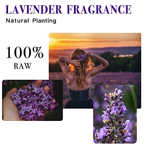 Dried Lavender Sachets Bags for Lavender Sachets for Drawers and Closets Fresheners,Lavender Flowers Bags,Lasting Lavender Fresh Scents for Anywhere,8.31 Ounce/10 Pack