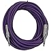 Seismic Audio - SASTSX-25 - 25 Foot TS 1/4