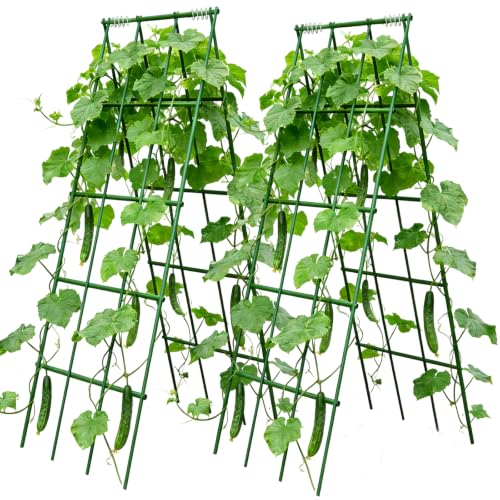 Heavy Duty Cucumber Trellis,2 Pack,No AssemblyGarden Trellis for Climbing Plants Outdoor,Cucumber Trellis,