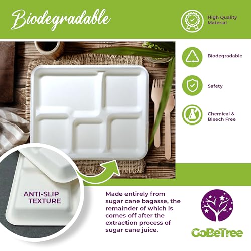 GoBeTree 100 x 26cm Disposable Plates with 5 Compartments Sugarcane Plates Heavy Duty Disposable Tableware White