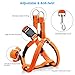 URPOWER Dog Harness Durable Dog Leash Heavy Duty & Adjustable Dog Collar Anti-Twist Dog Leash Harness for Small Medium & Large Dogs Perfect for Walking Running Training (M(14.5