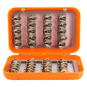 Alomejor 40pcs Mouche Pêche Leurres Réaliste Mouche Pêche Mouches Truite Mouches Leurres Crochets Mouche Pêche Kit Pour La Pêche En Eau Douce Eau De Mer
