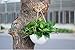 Hanging Flower Plant Indoor Outdoor Basket Flower Pot Chain Basket Planter Holder 1pcs-White