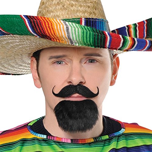 Wacky Fiesta Moustache and Goatee Facial hair Costume Accessory, Self