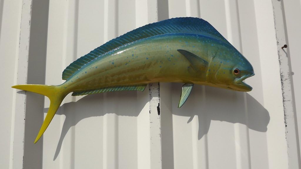Coastal Marine Fish Mahi 22 Inch Dolphin Fish Haitian Metal Wall Art Home Garden Plaques Signs 42jours Ch
