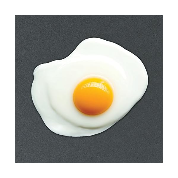 BLACK+DECKER GD2011B Family Sized Electric Griddle, 12 x 22Inches