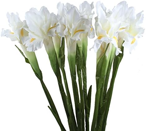 AerWo 5Pcs Artificial Silk Flower Bridal Real Touch Iris Flower for Wedding Party Banquet Home Decoration White