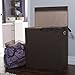 Household Essentials Double Laundry Hamper with Lid, Two Compartments for Easy Sorting with Removable Liner, Collapsible, Brown Linen 5614