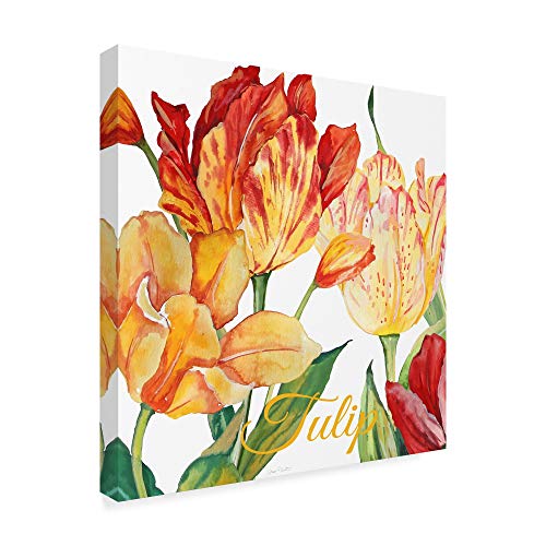 Trademark Fine Art ALI37535-C2424GG Tulip Red Orange by Jean Plout 24" x 24" Fi…