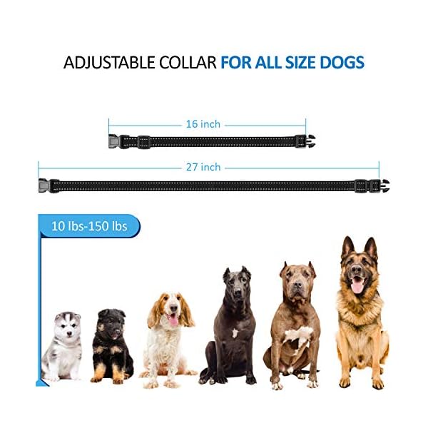 medium dog shock collar