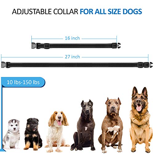 large breed dog training