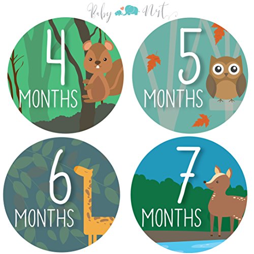 Monthly Milestone Stickers by Baby Nest - Colorful Woodland Animals for Newborns & Up, Celebrate 0-12 Months First Year Achievements | Perfect Shower Gift (16 Pack)