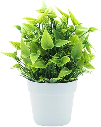 Amazon Co Jp 緑カラリリー鉢植え鉢植え 鉢花 プレゼント 花 鉢 フラワーギフト ガーデニングや寄せ植えに最適 鉢花 鉢植え 苗物 フラワーギフト 鉢植え 観葉植物 15 21cm ホーム キッチン