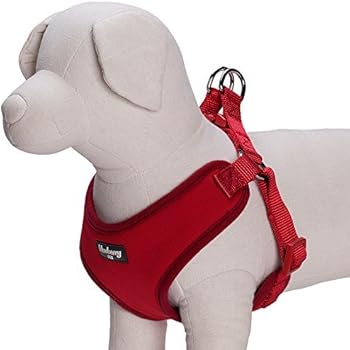 Blueberry Pet 4 Colors Better Basic Dog Harness Vest, Rouge Red, Chest Girth 17