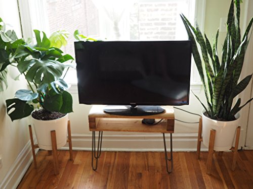 Mid Century Modern Plant Stand