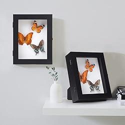 IHEIPYE Insect Display Case Wall Mount Bug Display
