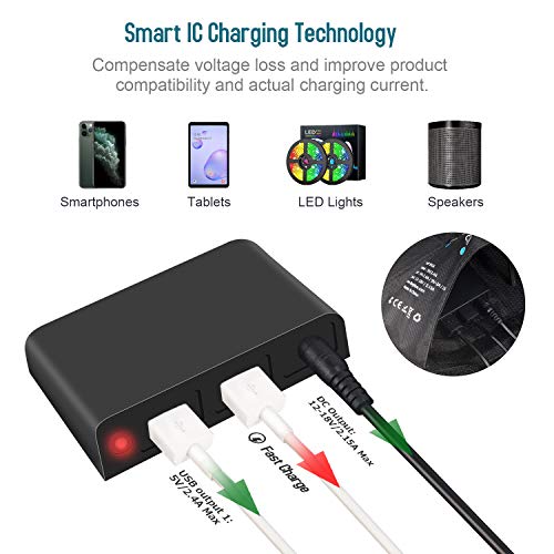 BigBlue 42W Portable Solar Charger with Fast Charge USB and 18V/2.15A