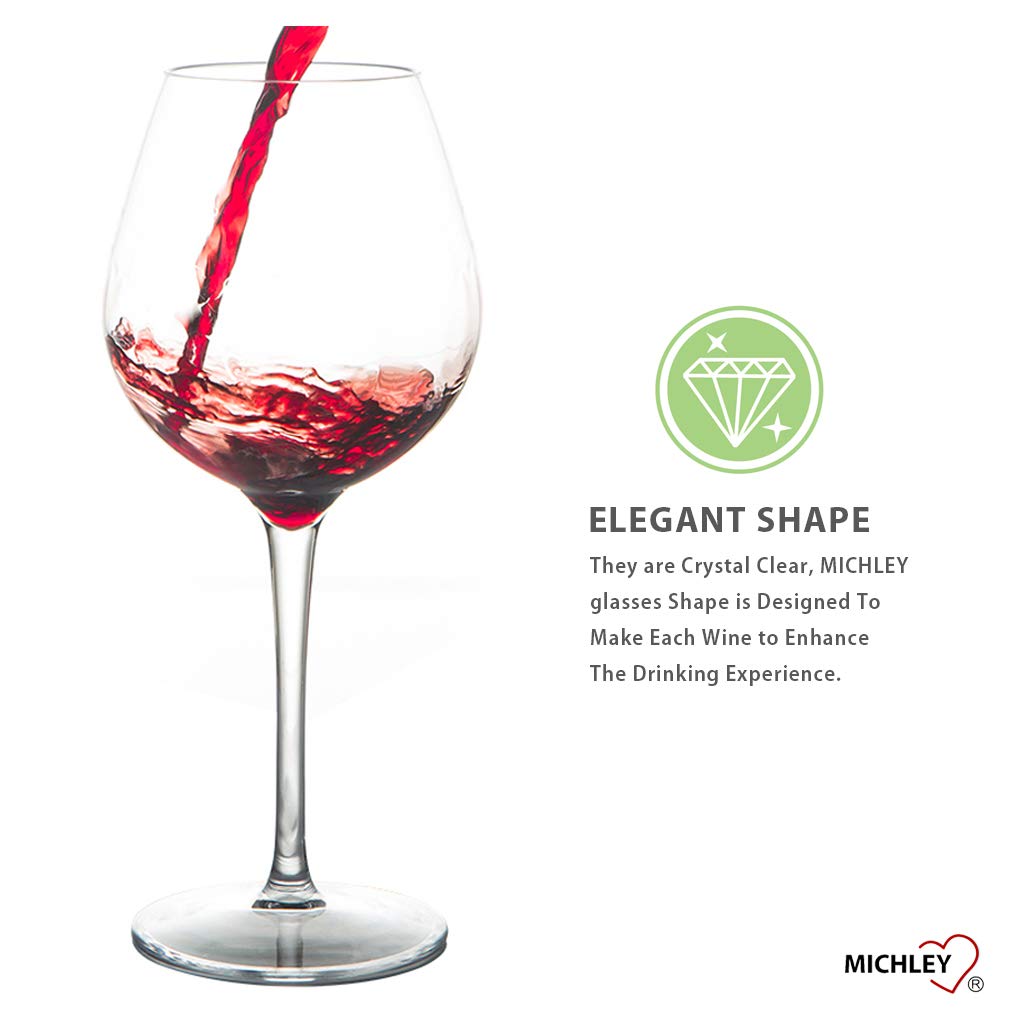 MICHLEY Unbreakable Stemmed Wine Glass 100 Tritan Plastic Dishwasher