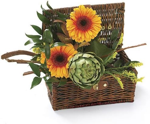 BASKET CASE SMALL