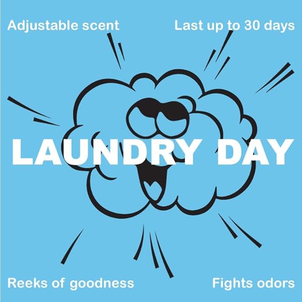 BIG STINK ODOR-FIGHTING, CAR AIR FRESHENER VENT CLIP LONG LASTING, LAUNDRY DAY SCENT, 1 COUNT