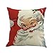 DOYOLLA Merry Christmas Series Throw Pillow Case Decorative Cushion Cover Pillowcase Square 18