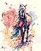 TianMai New Paint by Number Kits - Colorful Pink Horse 16x20 inch Linen Canvas Paintworks - Digital Oil Painting Canvas Kits for Adults Children Kids Decorations (No Frame, 340)