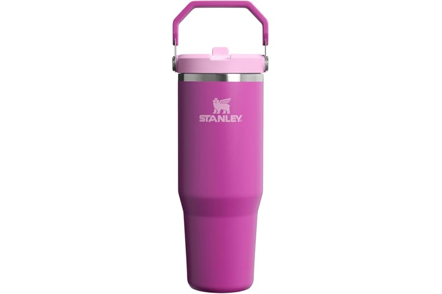 STANLEY IceFlow 2.0 Flip Straw Tumbler with Handle 30 oz | Twist On Lid and Flip Up Straw | Leakproof Water Bottle | Insulated Stainless Steel | BPA-Free | Dark Blossom