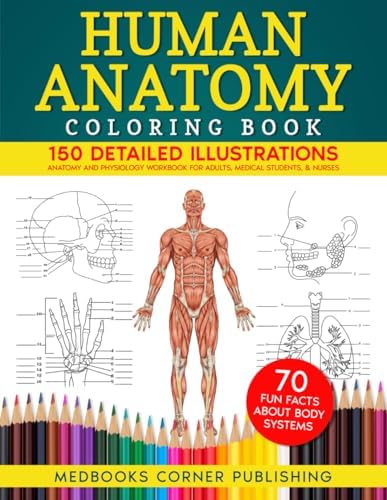 Netter's Anatomy Coloring Book: 9780443287787: Medicine & Health