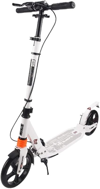 two wheel scooter for adults