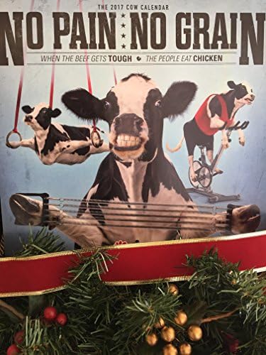 2017 Chick-fil-A Cow Calendar