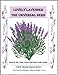 Lavender the Universal Herb (Herbal Amicus Book 2)