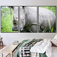 3 Piece Framed Canvas Wall Art Stomping The Wild Animals for Living Room Bedroom - 16